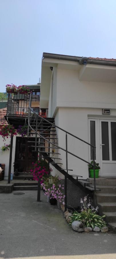 Stevan Sremac Soko Banja Exterior photo
